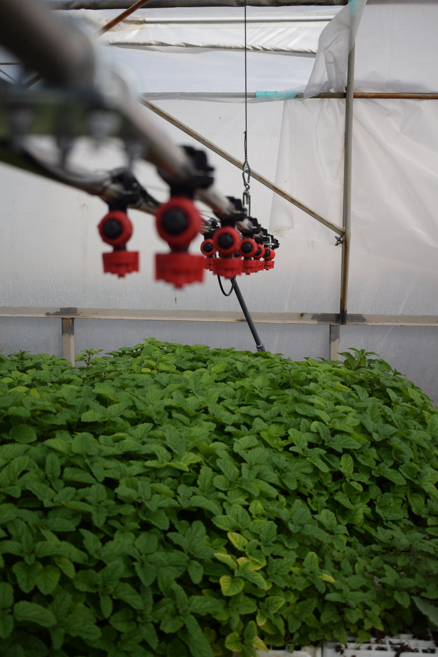 Поливна система "Арес"