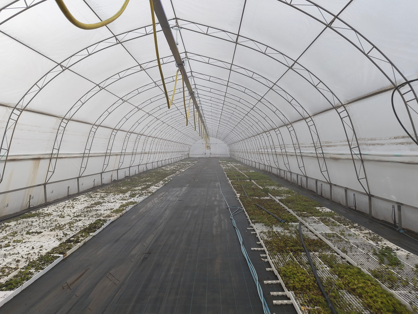 Поливна система "Арес"